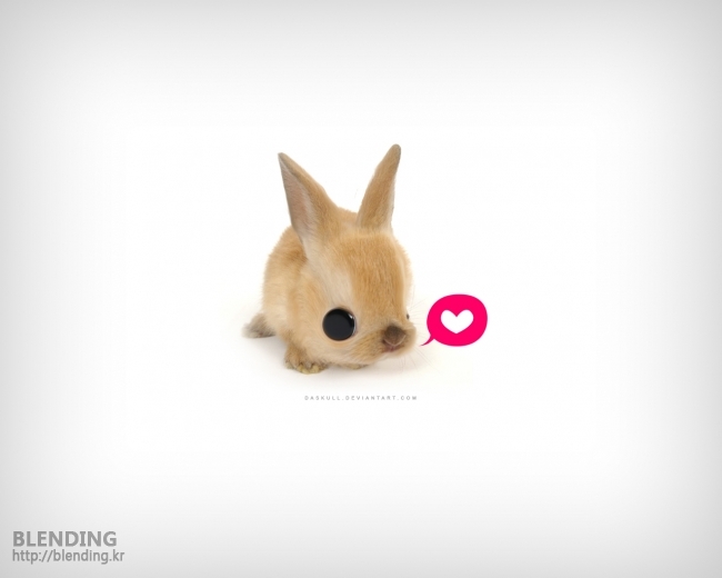 desktop_bunny_by_daskull_holo_dokzon.jpg