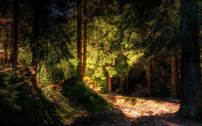 01424_lightfromtheleftturn_1280x800.jpg
